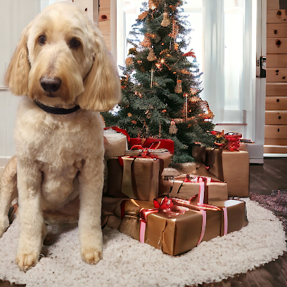 Rachel's dog grooming service - Burtonwood - Pet Shop in Warrington