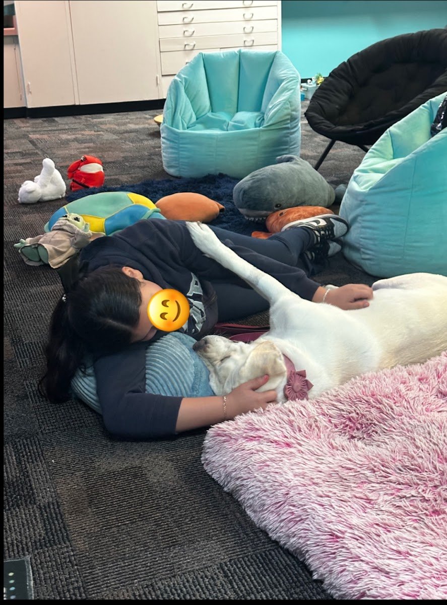 Angel Dogs AZ Inc - Photo 2