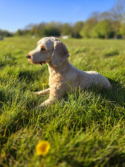 Pack to Nature - Pet Shop in Warrington