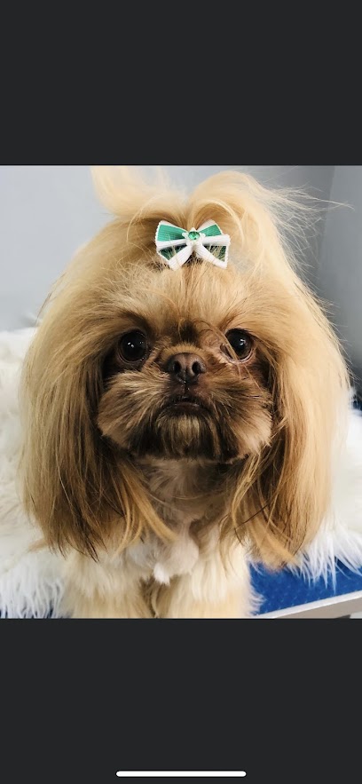 The Furry Dogmother - Pet Shop in Warrington