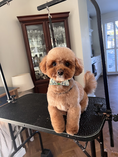 Graces Dog Grooming - Pet Shop in Warrington