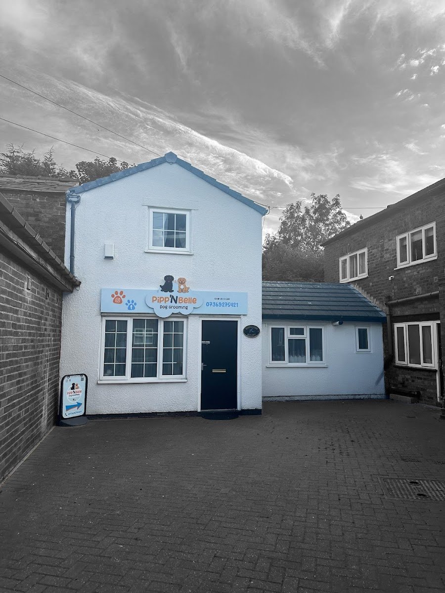 Pipp'NBelle Dog Grooming Ltd - Photo 2