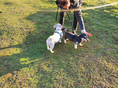 Wagging Tails - Pet Shop in Warrington