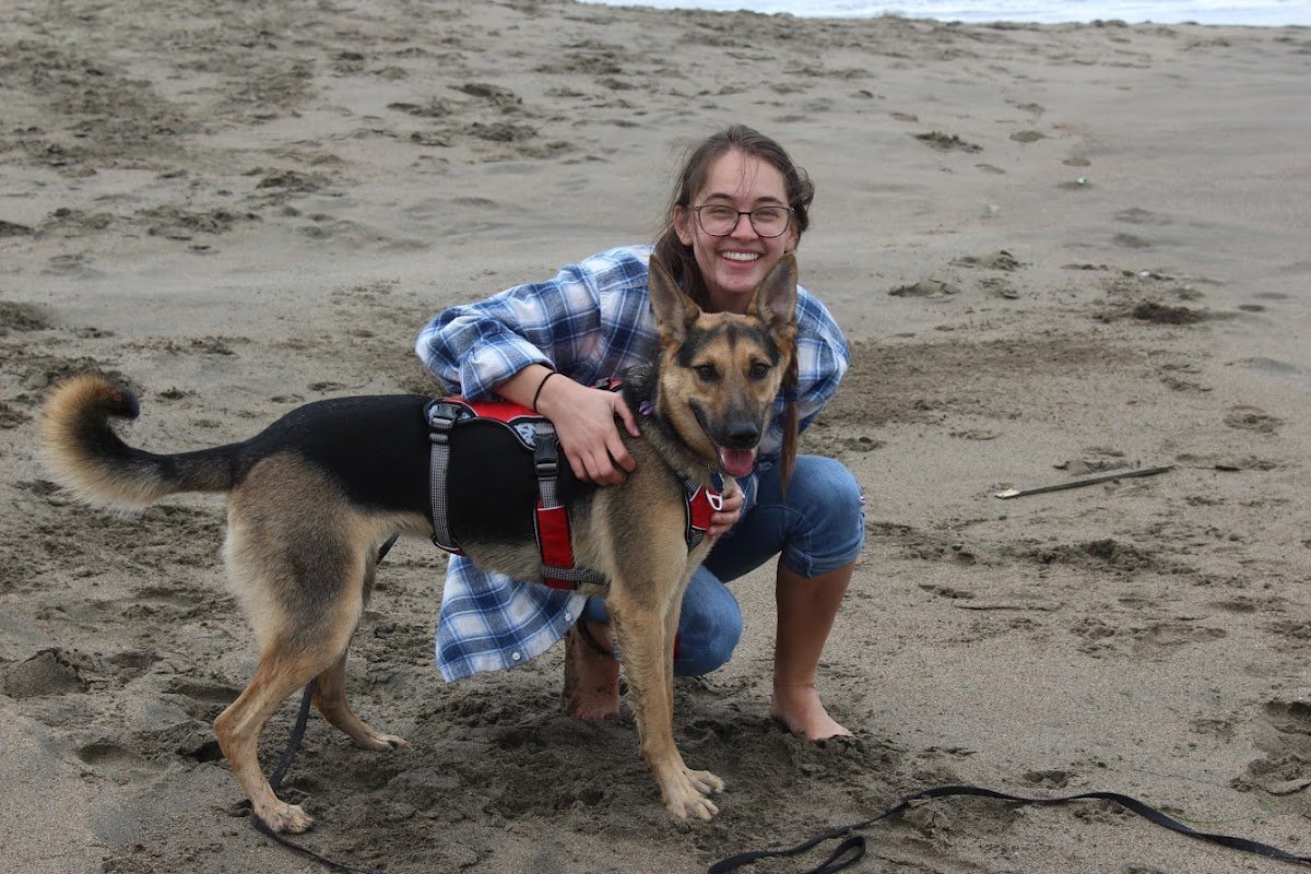 Fur-Real Dog Training - Photo 2