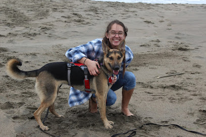 Fur-Real Dog Training