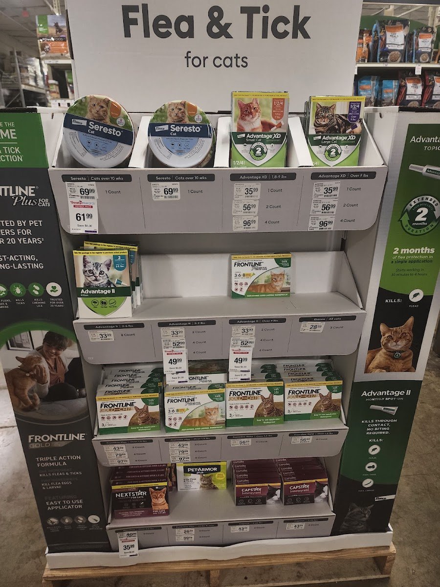 PetSmart Dog Training - Photo 2