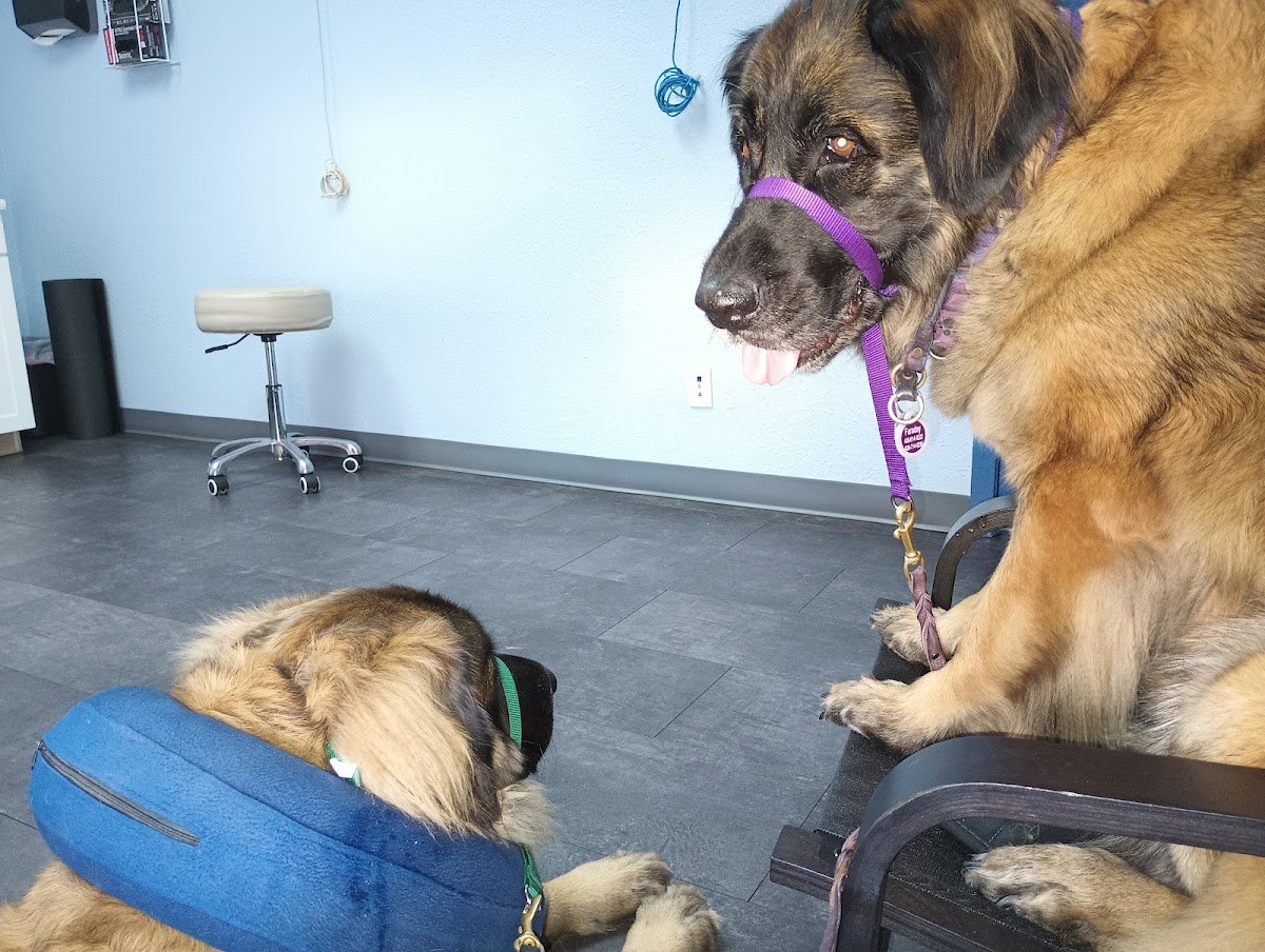 Kokopelli Veterinary Center - Photo 2