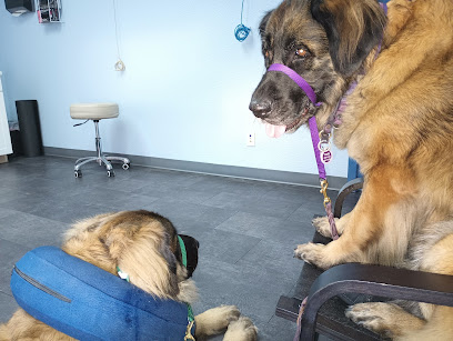 Kokopelli Veterinary Center