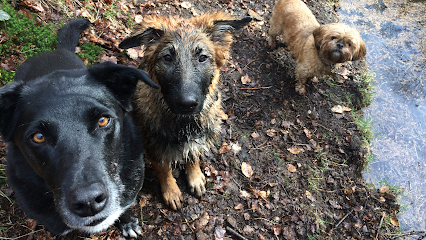 Holme Valley Pet Pals
