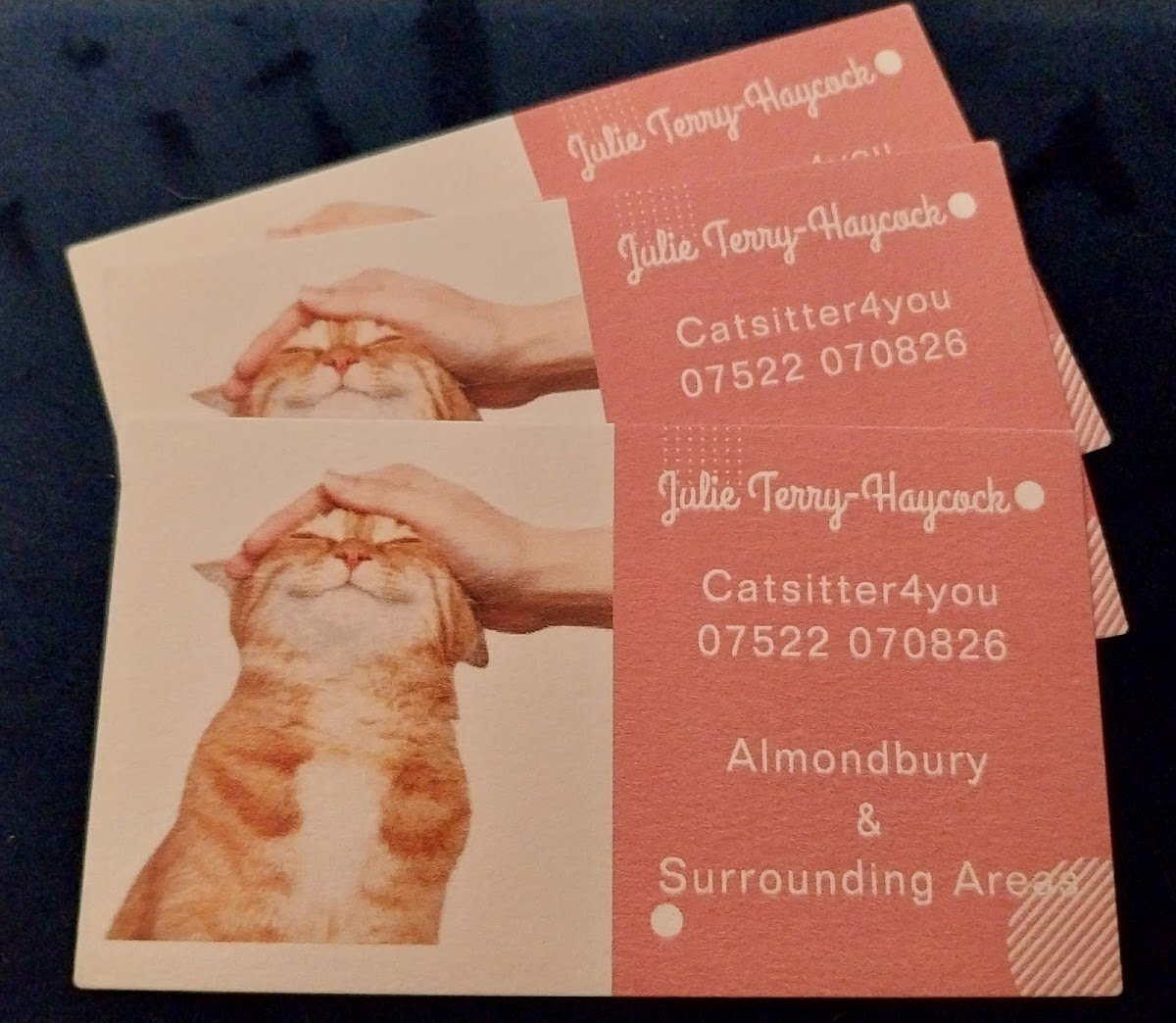 Catsitter4you - Photo 2