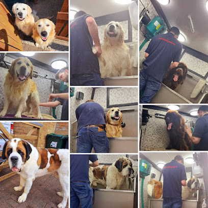 Dial a Dog Wash South West Yorkshire