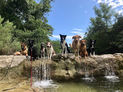Coffey House Dog Training