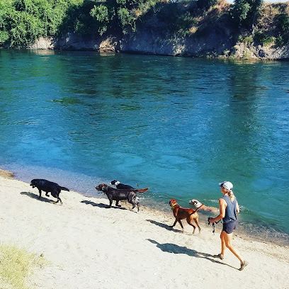 eXtreme K9s - Sacramento's Extreme Dog Walking Company - Pet Shop in Sacramento