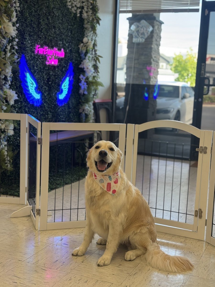 FurEver Fresh Pet salon - Photo 2