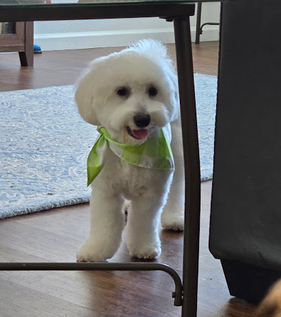 Woof Gang Bakery & Grooming Park Place