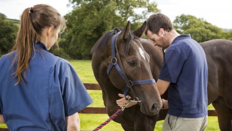 Grace Lane Vets - Photo 2