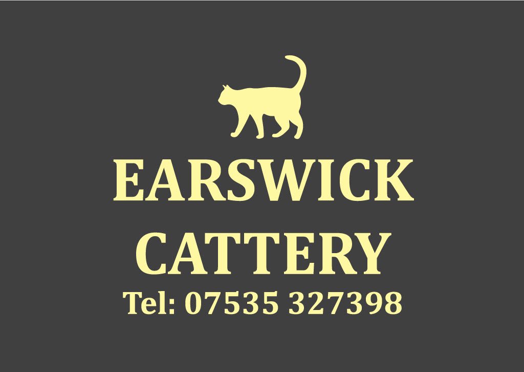 Earswick Cattery - Photo 2
