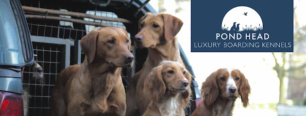 Pond Head Boarding Kennels