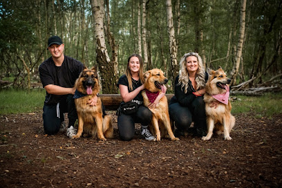 The Woof Pack Company