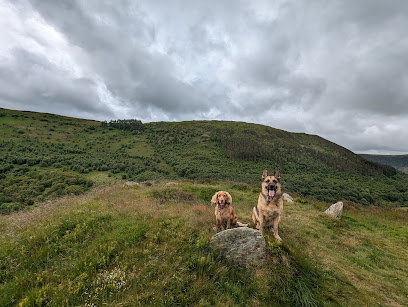 Howells Veterinary Services Ltd