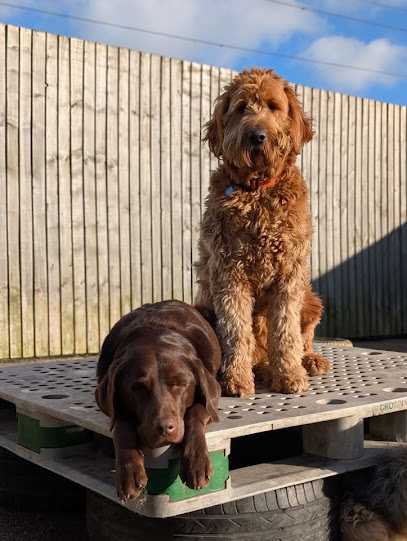 The Waggy Dog Creche Ltd