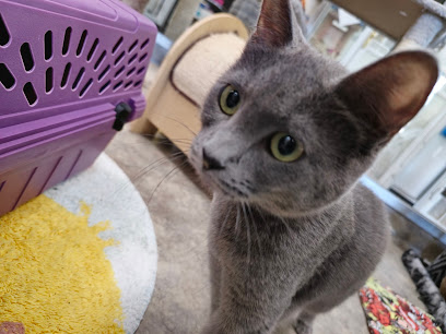 Happy Tails Pet Sanctuary