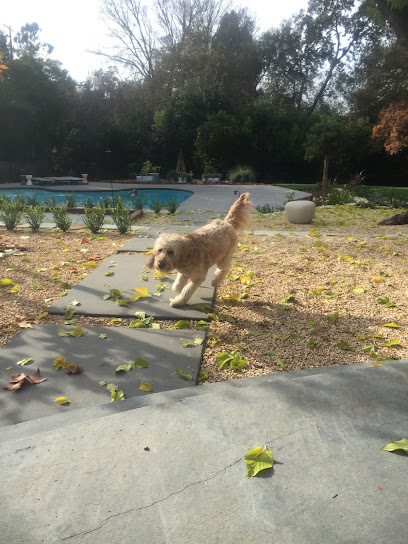 Happy Feet Pet Sitting