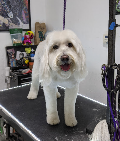 Elk Grove Mobile Dog Grooming - Pet Shop in Sacramento