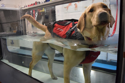 Aquatread Canine Hydrotherapy Ltd