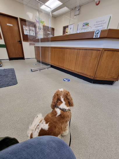 Ryedale Vets - Helmsley