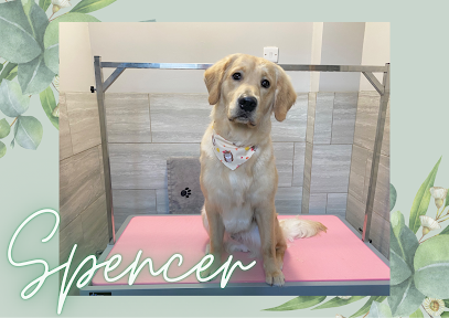 Majobi Dog Groomers & Spa York