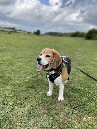 Ana Pet Sitting Sherburn - Pet Shop in York