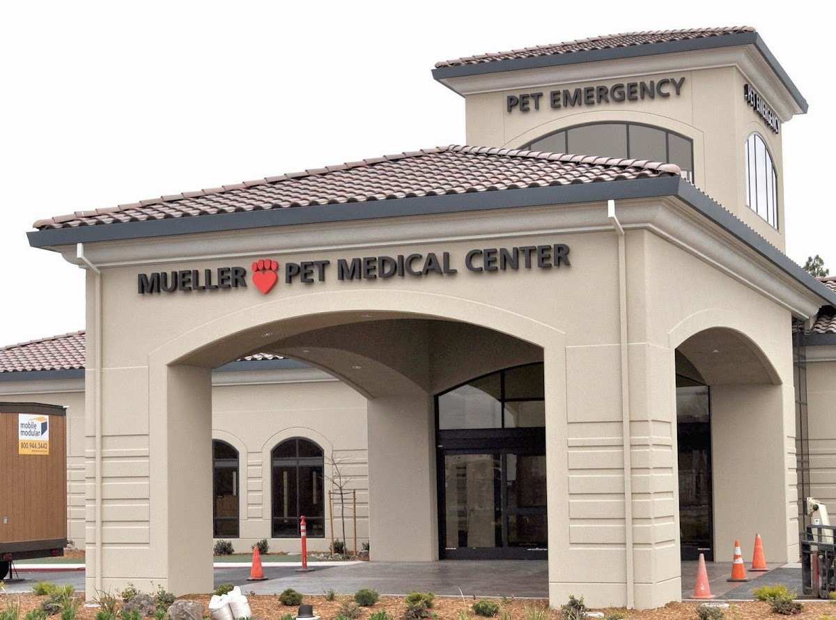 VCA Mueller Pet Medical Center - Photo 2
