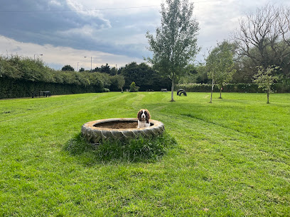 Golden Paws Ranch Fully Enclosed Dog Park