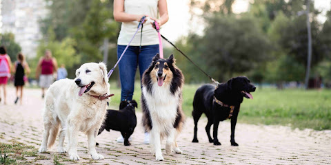 Elk Grove Pet Care - Pet Shop in Sacramento