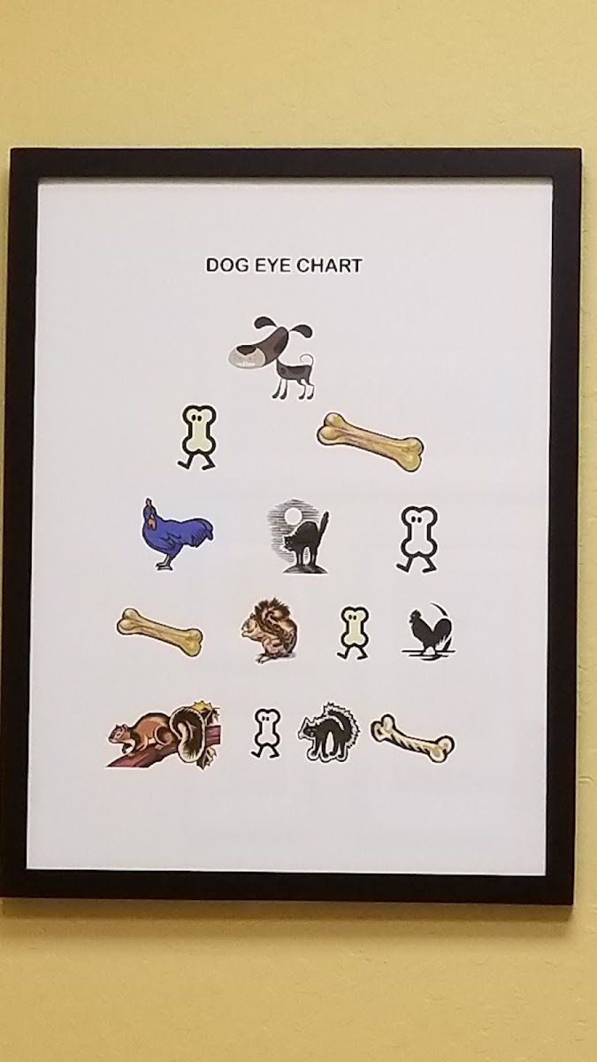 Animal Vision Center - Photo 2
