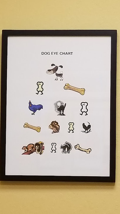 Animal Vision Center