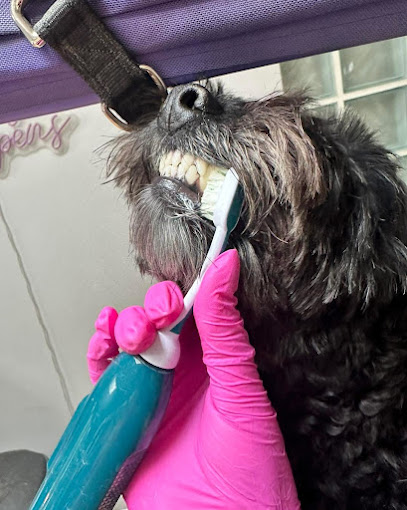 Little Pickle Dog Grooming - Pet Shop in Oxford