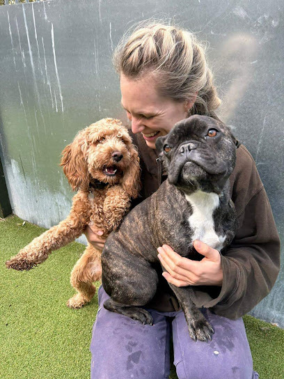 Archway Boarding Kennels - Pet Shop in Oxford