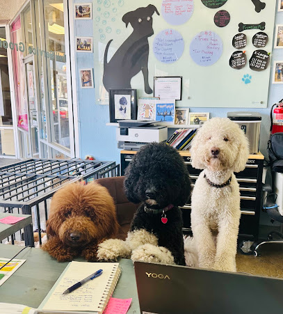 Bath & Biscuits - Pet Shop in Sacramento