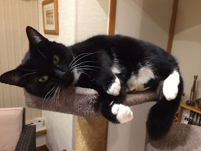 Professional Pet Care Services - Pet Shop in Oxford