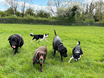 Woofy Walks and Daycare - Pet Shop in Oxford