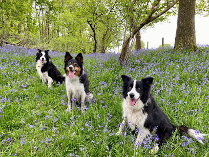 Country Canine Company - Pet Shop in Oxford