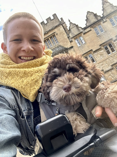 Laura Pomarius - Dog Walking / Sitting / Training - Pet Shop in Oxford