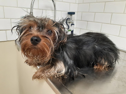 Southwest Veterinary Clinic