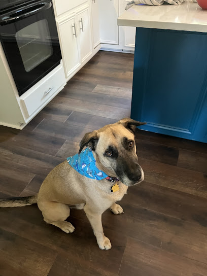 Hounds Town - Atlanta - Sandy Springs