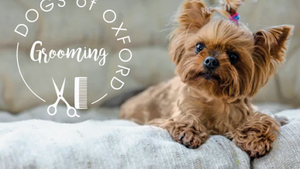 Dogs of Oxford Grooming - Pet Shop in Oxford