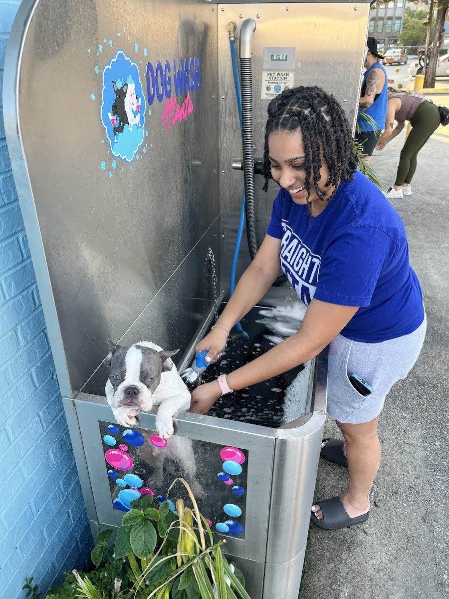 Dog Wash Atlanta - Photo 2