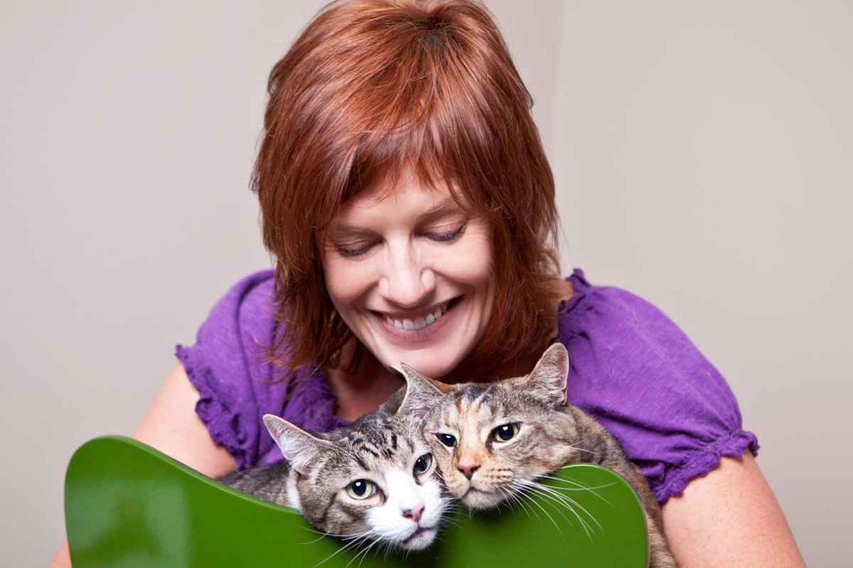 Super Cat Sitting - Photo 2