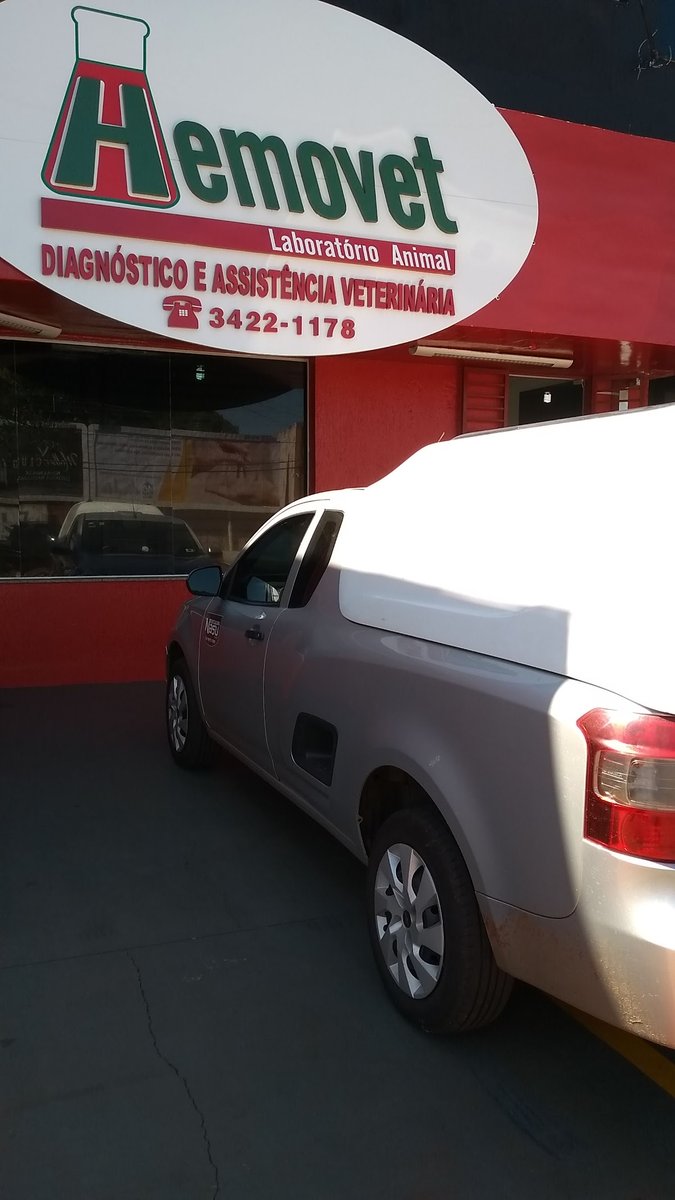 Hemovet Laboratorio Animal